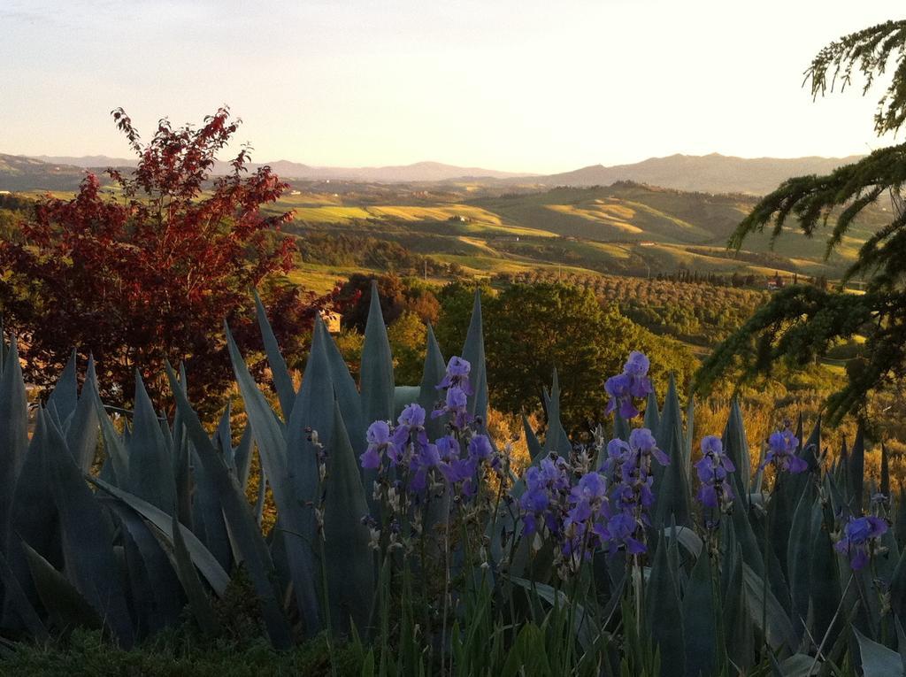 Podere Le Monache Montaione Εξωτερικό φωτογραφία