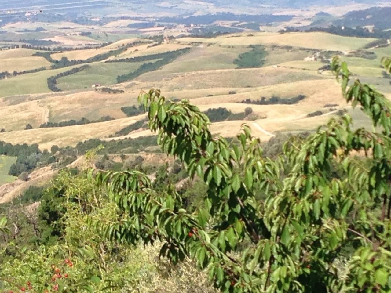 Podere Le Monache Montaione Εξωτερικό φωτογραφία