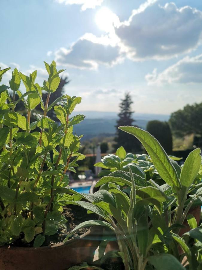Podere Le Monache Montaione Εξωτερικό φωτογραφία